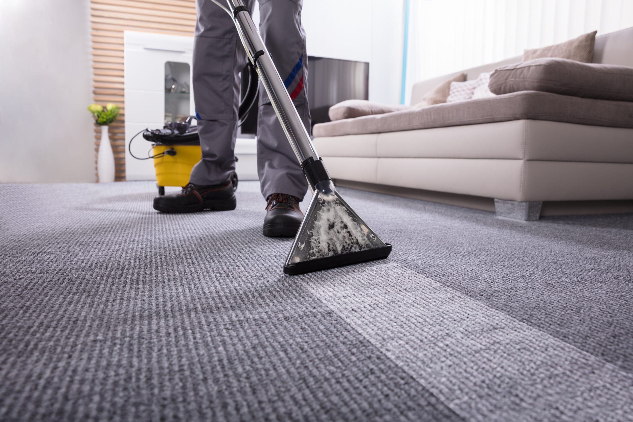 Experience Expert Cleaning with carpet cleaning bryker woods austin tx by The Steam Team