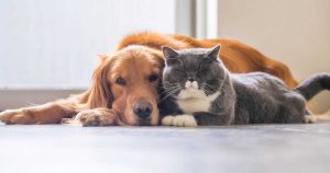 WhatsApp Image 2025-11-13 at 4.21.47 PM (14)